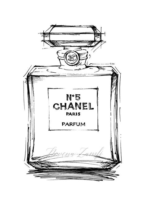 chanel perfume drawing easy|chanel no 5 drawing.